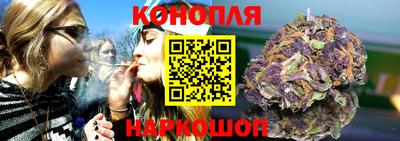 apvp Краснодар