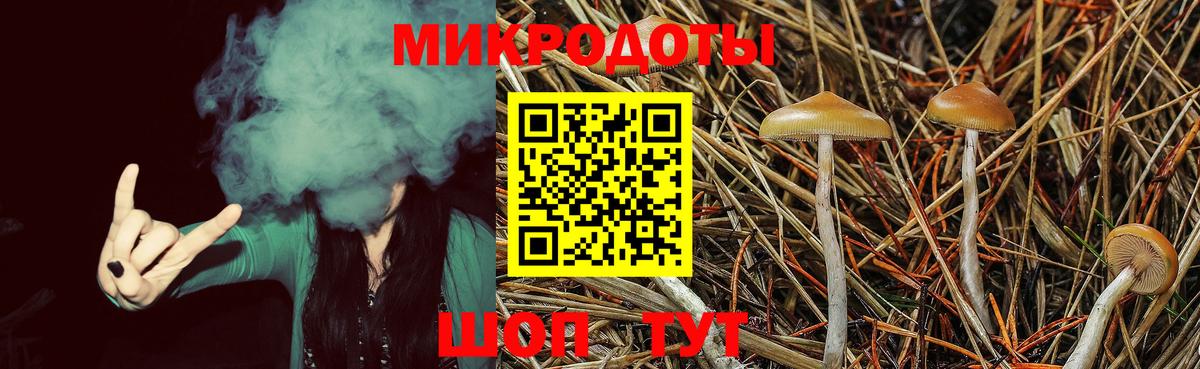 Галлюциногенные грибы мухоморы Чита